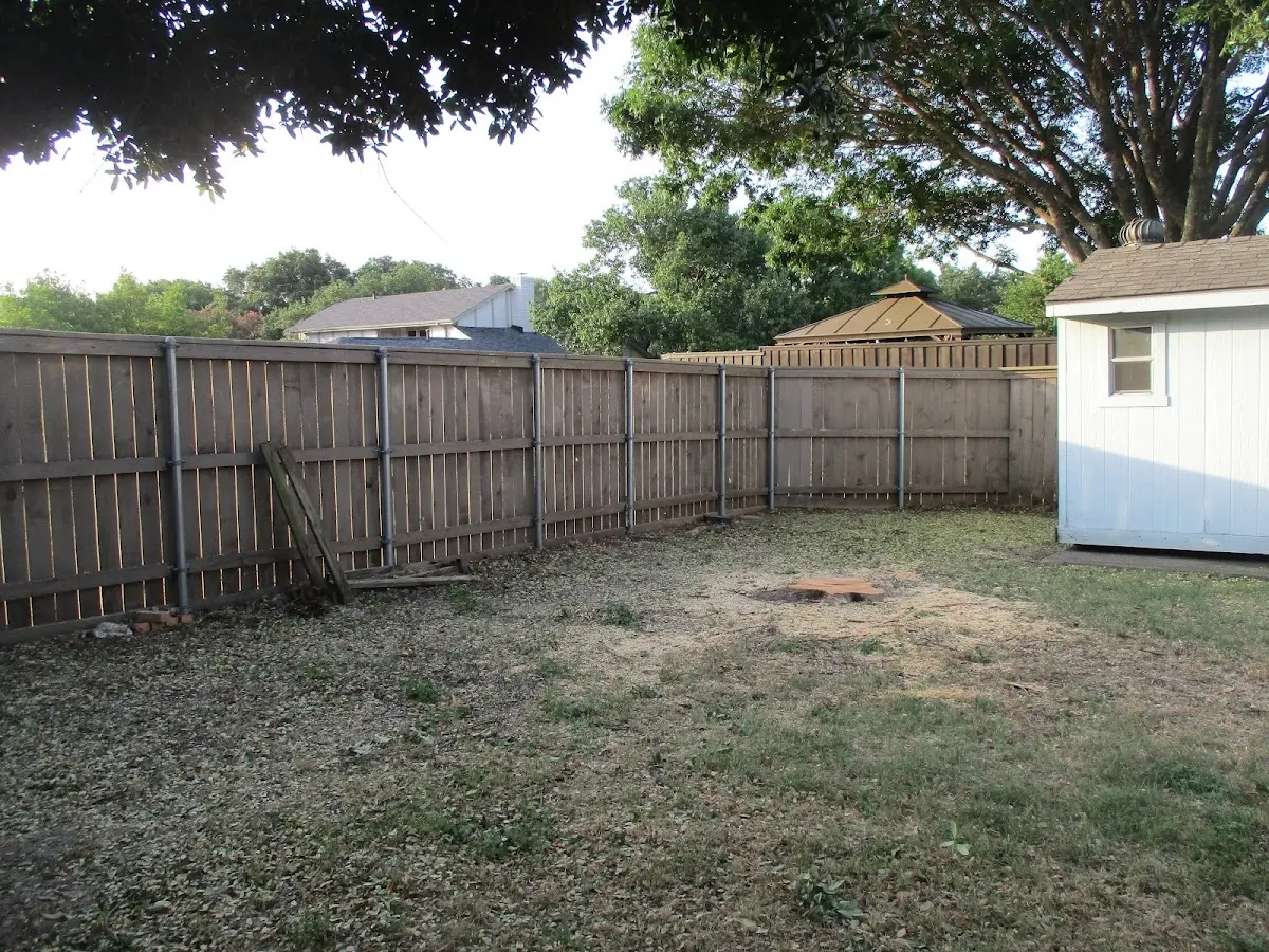 Cleared yard after professional tree removal in Surgoinsville